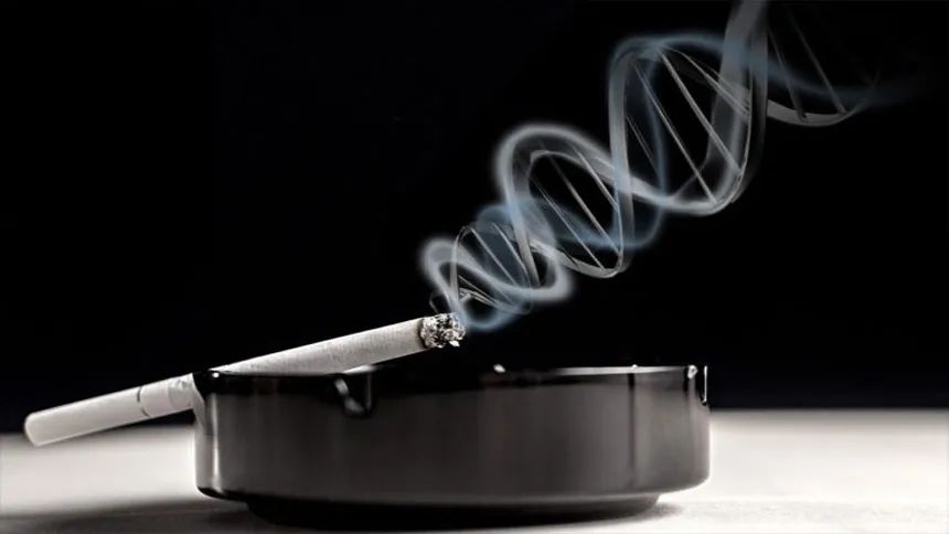 吸烟能致癌，不过患癌的机率与自身基因有关