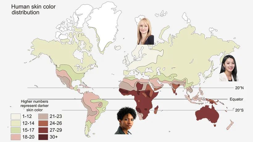 不同纬度地区居住着不同肤色的人