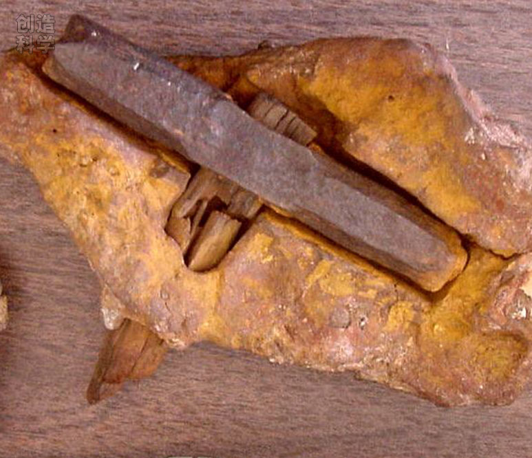 所谓的“4亿年前”的地层中发现的伦敦锤