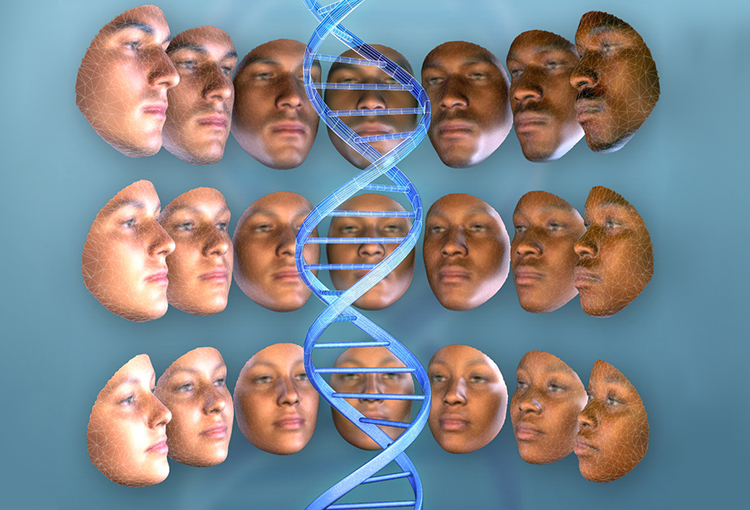 人类DNA