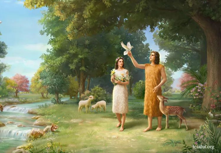 洪水前的自然环境比较好