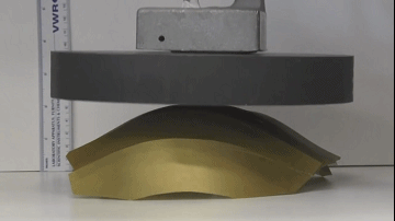 蟑螂仿生学作品