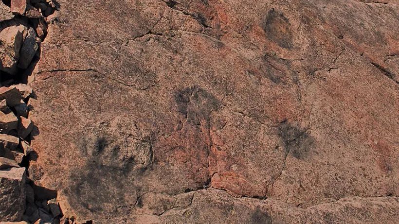 波兰圣十字山的石灰岩，“比提鱼更早的”大型爬行动物的脚印