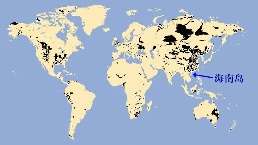 遍布世界各地的煤层