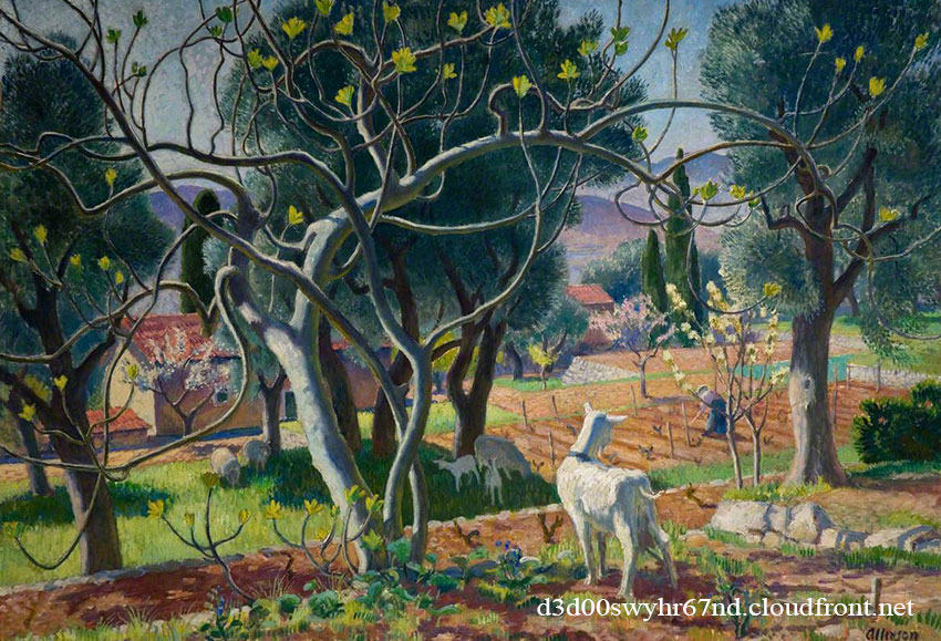 无花果树发芽的时候，就知道夏天近了