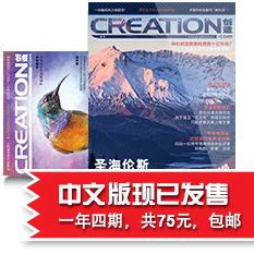 《创造》杂志中文版现已发售！