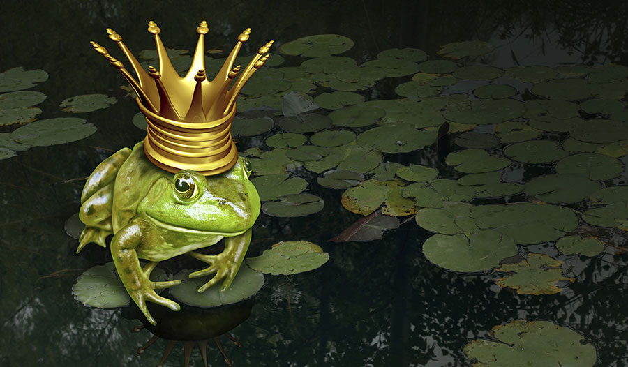 《青蛙变为王子》