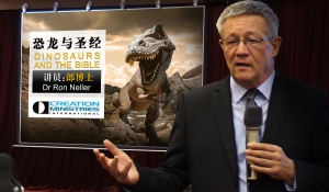 最新视频推荐：恐龙的故事