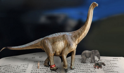 圣经记载过恐龙吗？喜欢恐龙的你不要错过本文
