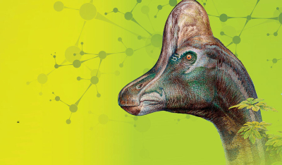 DNA在鸭嘴龙的化石中被检测到