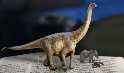 约伯记中的“巨兽”或为恐龙？