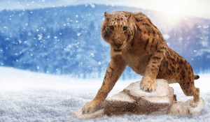 西伯利亚冰封的幼狮干尸
