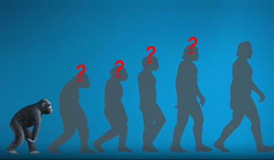 从猿到人：证据何在？