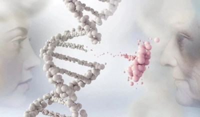 DNA的衰退——一篇与你息息相关的文章！